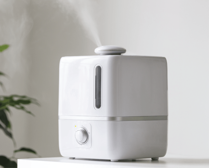 Humidifier emitting mist
